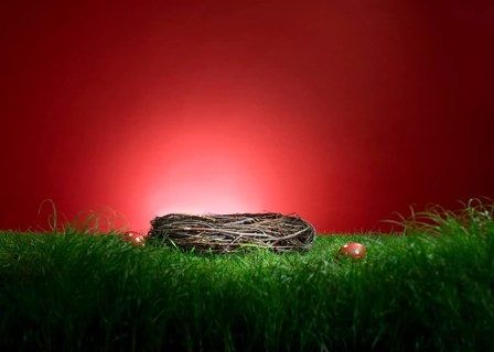 Turf in front of a red background, with an Easter nest and 2 red Easter eggs, studio shot