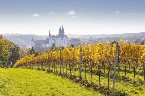 Viewpoint over the Proschwitz vineyards to Albrechtsburg Castle and Meissen Cathedral, Saxony,