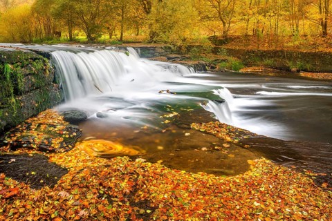 Chrysopras weir waterfall on the Schwarza river in the Schwarzatal nature reserve between Bad