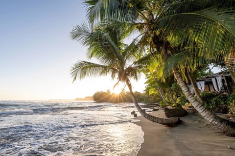 Sea and Caribbean sandy beach with palm trees at sunrise, sun star, Caribbean coast, Playa Negra,