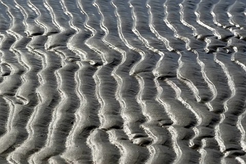 Beach at low tide with wave-like pattern, current ripples, North Sea, Norderney East Frisian