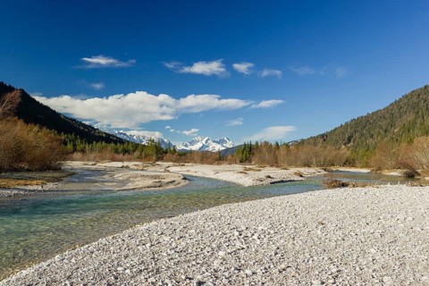 Isar valley nature conservancy area on an early sunny morning. The wild Isar river flows through