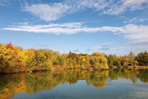 A quiet lake reflecting the colourful autumn trees and the blue sky, Offenbach, Southern