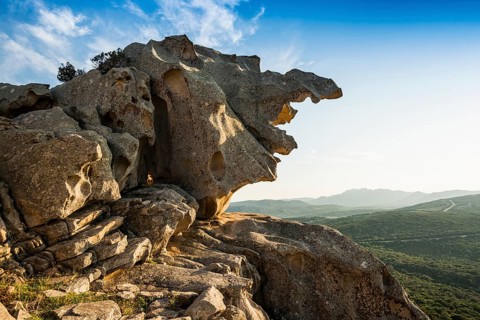Bizarre granite rocks, Roccia dell Orso, sunset, Capo d'Orso, Palau, Costa Smeralda, Sardinia,