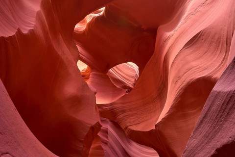 Fascinating sandstone formations in Antelpoe Canyon, showing soft, wave-like structures, Antelope