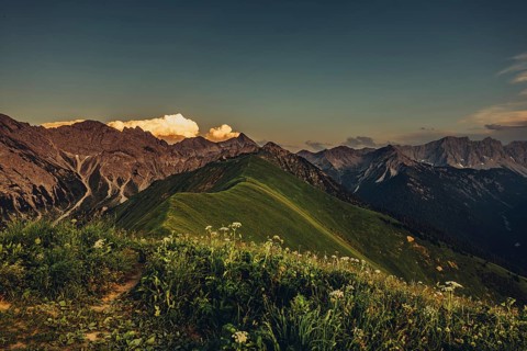 Hiking tour on the Hönig mountain in the Lechtal valley near Berwang in Tyrol, Austria, Europe