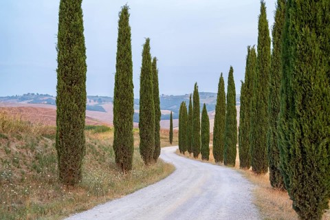 Typical Tuscan landscape in Crete Senesi with hills, trees, fields, cypresses and farm road in