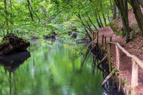 Schlaube in the romantic Schlaubetal valley, Oder-Spree district, Brandenburg, Germany, Europe