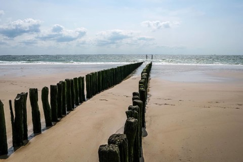 Vlissingen, Zeeland, Netherlands, sandy beach with wooden breakwaters, harbour town on the south
