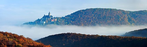 Wernigerode Castle rises out of the morning mist, surrounded by autumnal forests, Wernigerode,