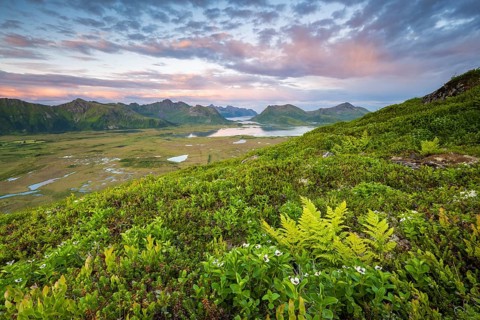 View of the coast and mountains from Mount Hoven, Gimsoy, Lofoten, Norway, Europe