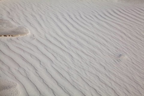 Wave-like structured sand surface with soft texture and natural colouring, North Sea coast,