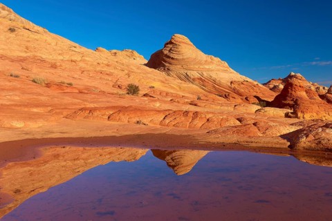 Dry desert landscape with rocks, a calm pool of water and a clear reflection under a bright blue