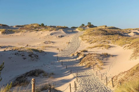 Lacka Dune on a sunny day with a blue sky in the Slowinski National Park, northern Poland on the
