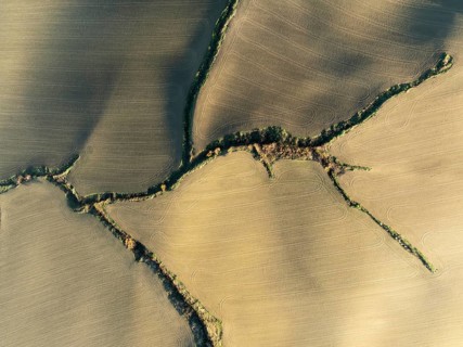 Farmland with tractor wheel ruts and streams with riverine vegetation in the Campiña Cordobesa, the