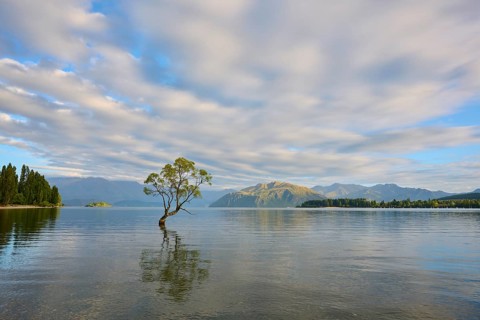 A tree stands in a calm lake with mountains in the background and cloud patterns in the sky,