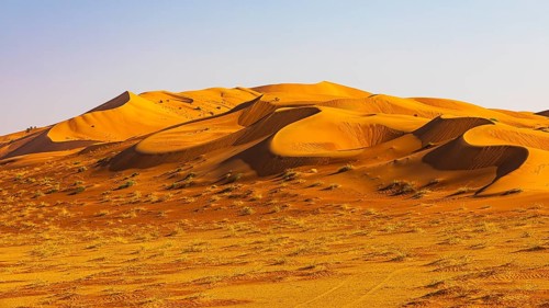 Wind-sculpted curved sand dunes in the Rub al Khali desert, Dhofar province, Arabian Peninsula,