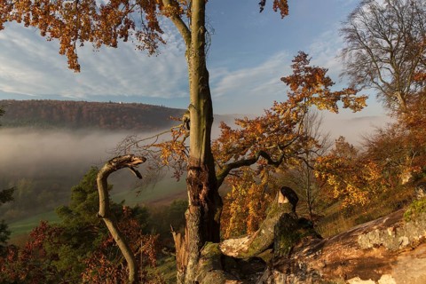 Sunrise close to the 12 Apostels rock formation in the Altmühl valley nature park close to