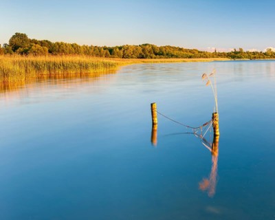 Evening mood at the Schaalsee, wooden post in the water, Zarrentin am Schaalsee, Schaalsee