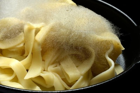 Mould on pasta, mould on food
