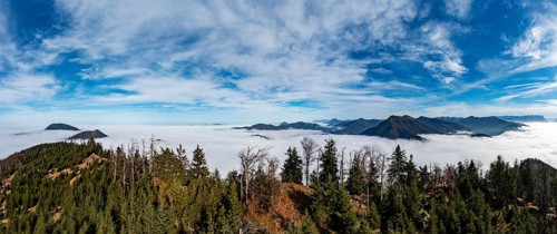 Drone shot, view from Schwarzenberg to a sea of fog in the Salzach valley, Osterhorn group,