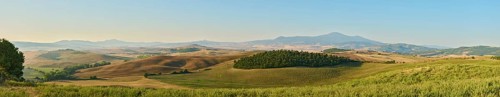 Typical Tuscan landscape in Val d'Orcia with hills, trees, fields, cypresses and farm road in