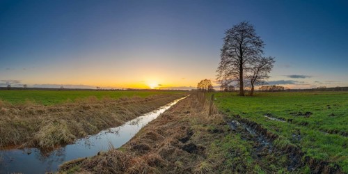View along a ditch to two trees in the sunset, panorama, landscape photo, nature photo, flora,
