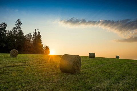 Panorama, sunrise, near Görwihl, Hotzenwald, Southern Black Forest, Black Forest,