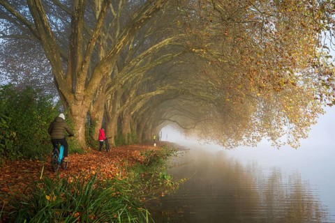 Essen, North Rhine-Westphalia, Germany, Golden autumn at Lake Baldeney. Cyclists and joggers in the