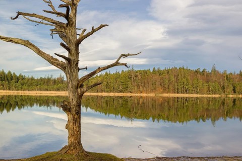 Lake Fohnsee of the Ostersee-group in early morning light