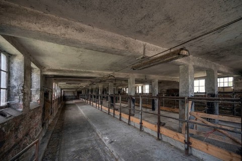 Abandoned cowshed of a former LPG farm in the former GDR, Mecklenburg-Vorpommern, Germany, Europe