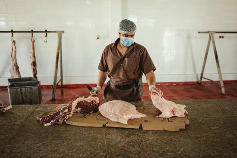 Cutting up a slaughtered dromedary (camelus dromedarius), camel slaughter, Salalah slaughterhouse,