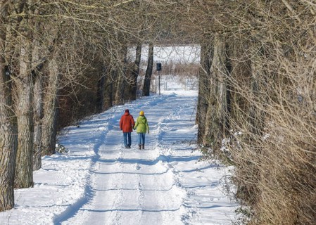 Hamm, North Rhine-Westphalia, Germany - Sunny winter landscape in the Ruhr area, ice and snow on