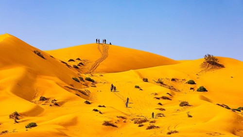 Hiking group in the sand dunes of the Rub al Khali desert, Dhofar province, Arabian Peninsula,