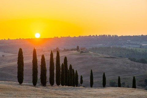 Typical Tuscan landscape in Val d'Orcia with hills, trees, fields, farmhouses and cypresses at