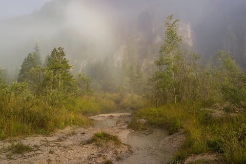 Isar valley nature conservancy area. The wild Isar river flows through its gravel bed past