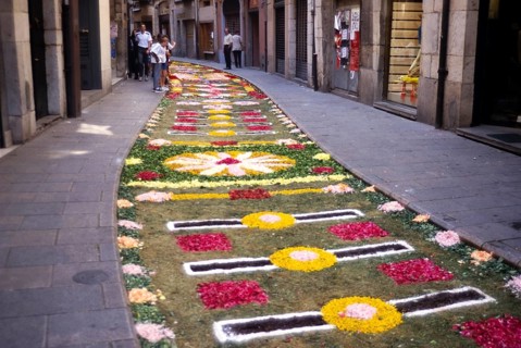 Mat of flowers on the street to celebrate Corpus Christi, Girona, Catalonia, Spain, Europe