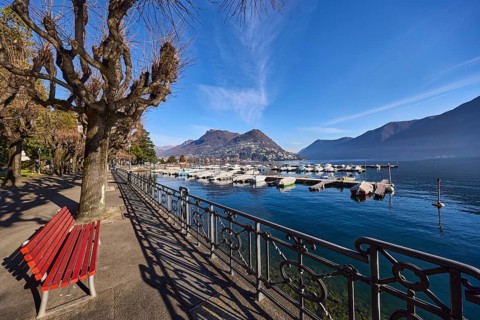 Lake, lakeside promenade, trees, railing, bench, shadow, hilly landscape, marina, motorboats, haze,