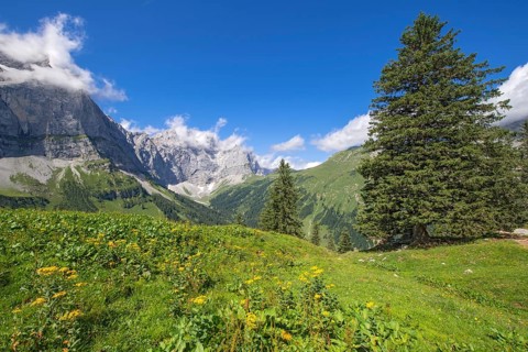 Spritzkarspitze and Grubenkarspitze, seen from Drijaggenalm, Karwendel Mountains, Tyrol, Austria,