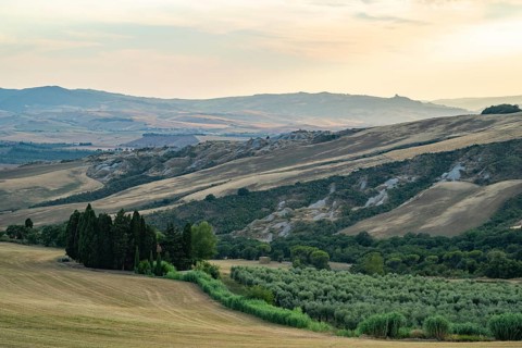 Typical Tuscan landscape in Val d'Orcia with hills, trees, fields, cypresses in autumn at sunset,