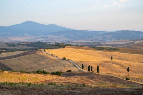 Typical Tuscan landscape in Val d'Orcia with hills, trees, fields, cypresses and farm road in