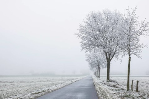 A snow-covered road stretches under foggy, frost-covered trees in the distance, Schöppinger Berg