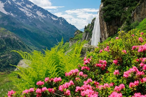 Wyssebach Falls plunges over a striking cliff, Canton of Bern, Switzerland, Europe