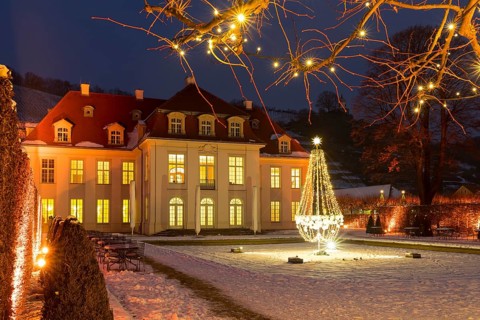 Wackerbarth's winter magic, castle and vineyards with Christmas lights and snow, Radebeul, Saxony,