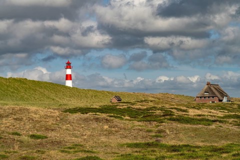 Dunes at the coast of Ellenbogen and the lighthouse List-Ost, List, island Sylt, district