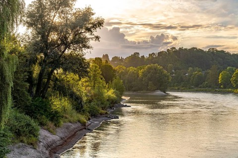 Landscape on the River Inn near moated castle am Inn, Bavaria, Germany, Europe