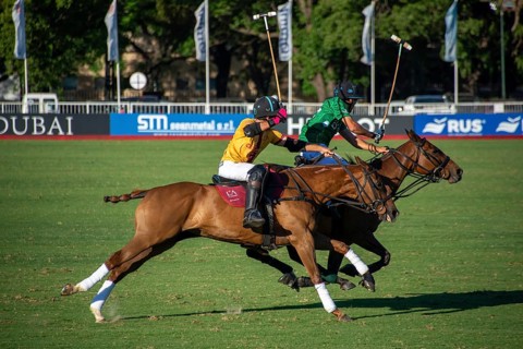 Scene from the 131st Argentine Open Polo Championship (Spanish: Campeonato Argentino Abierto de