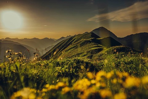 Hiking tour on the Hönig mountain in the Lechtal valley near Berwang in Tyrol, Austria, Europe