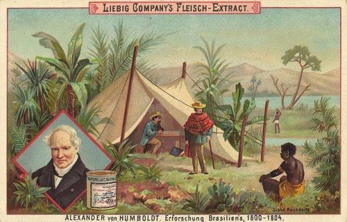 Series Explorers and World Travellers, Alexander von Humboldt exploring Brazil, Liebig picture,