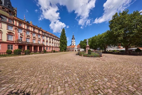 Erbach Castle, trees, cobblestones, monument to Count Franz, steeple of Erbach town church, blue